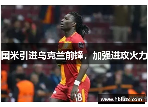 国米引进乌克兰前锋，加强进攻火力