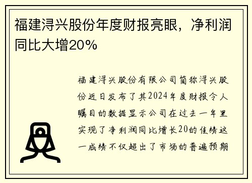 福建浔兴股份年度财报亮眼，净利润同比大增20%