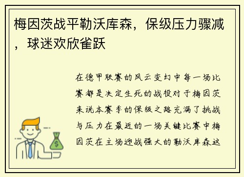 梅因茨战平勒沃库森，保级压力骤减，球迷欢欣雀跃